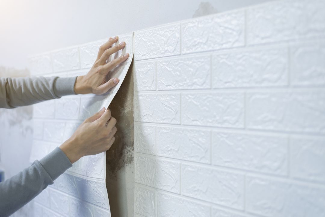 Installing Wallpaper by professional hands