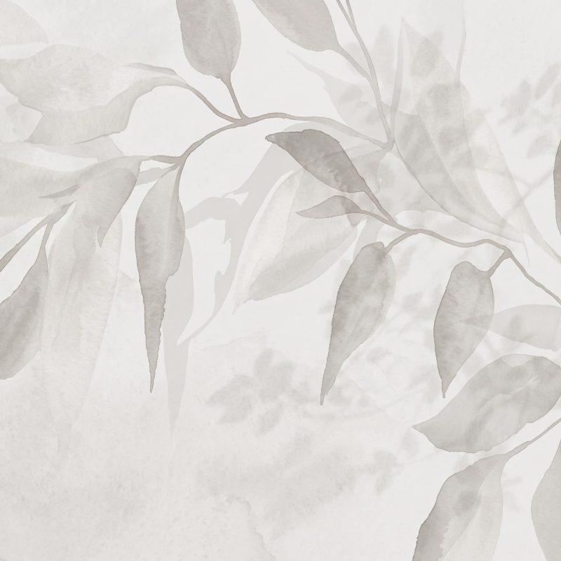 Silken Birch