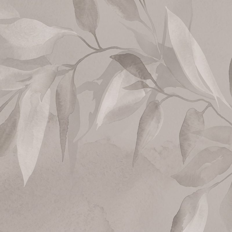 Silken Shadows