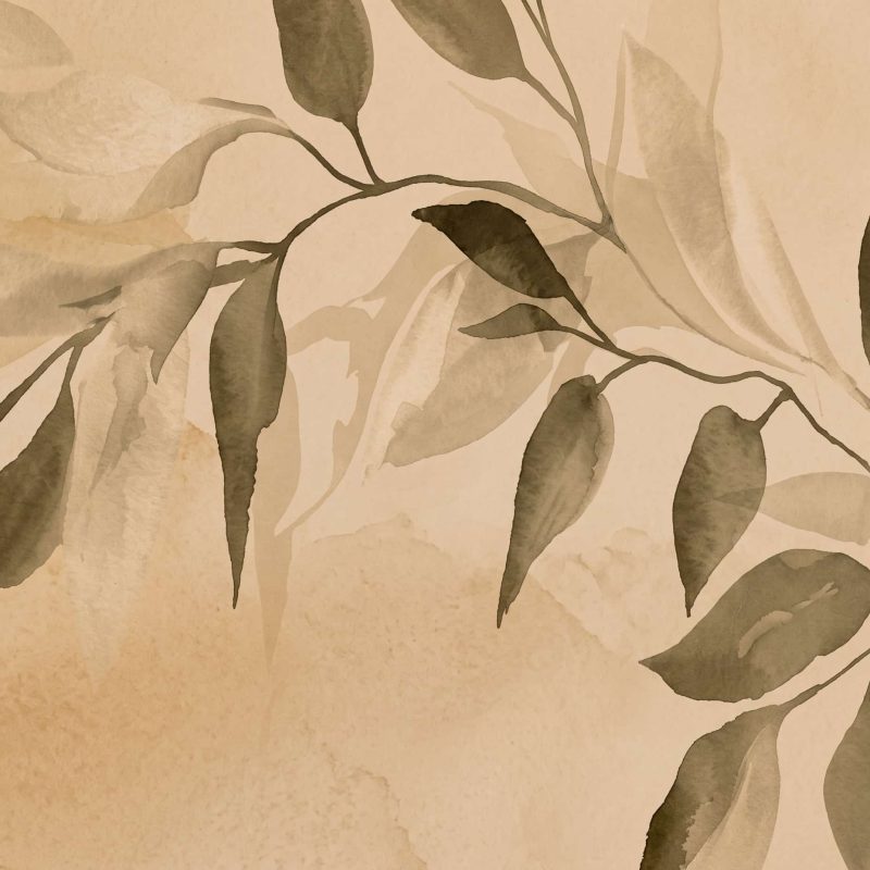 Silken Canopy