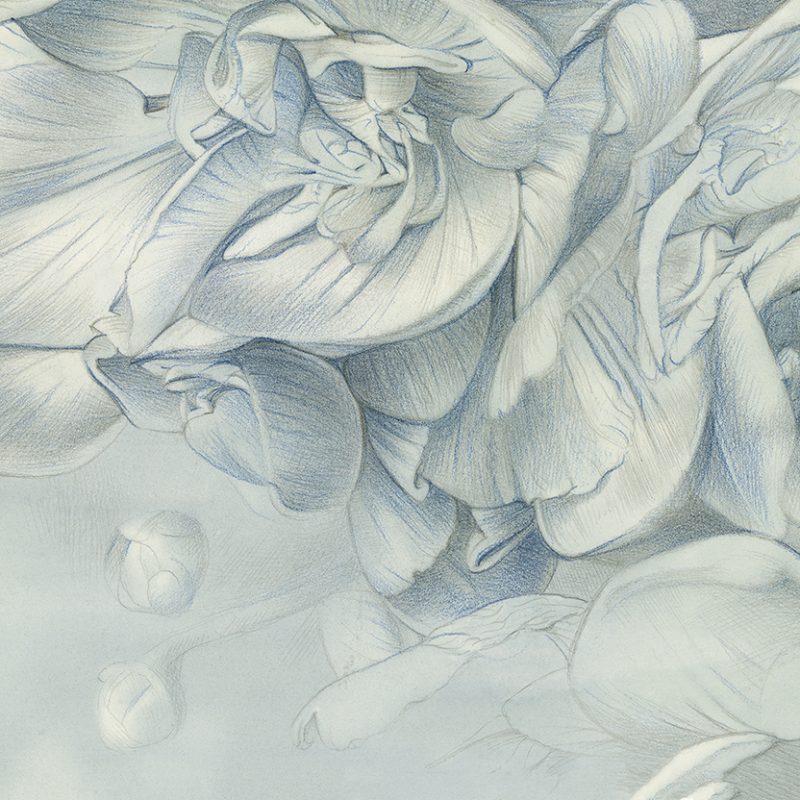 https www.tecnografica.net wp content uploads 2024 08 85682 2 BOCCIOLI DI POESIA blue Web 1