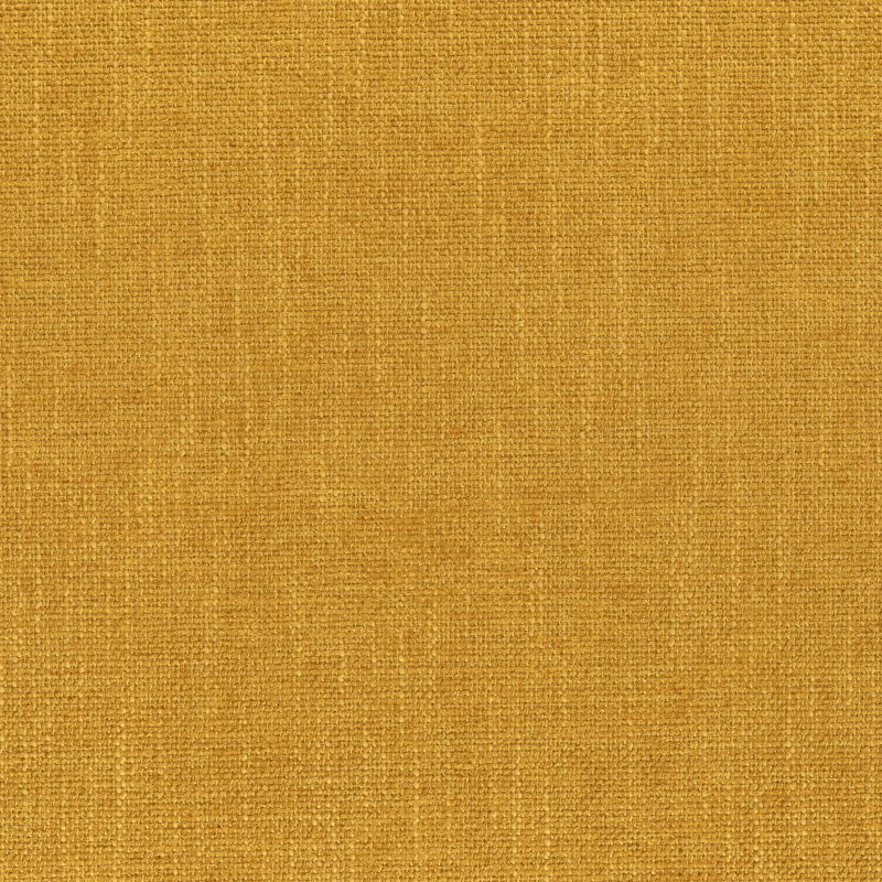 C Contract 2005 Robusta Canary