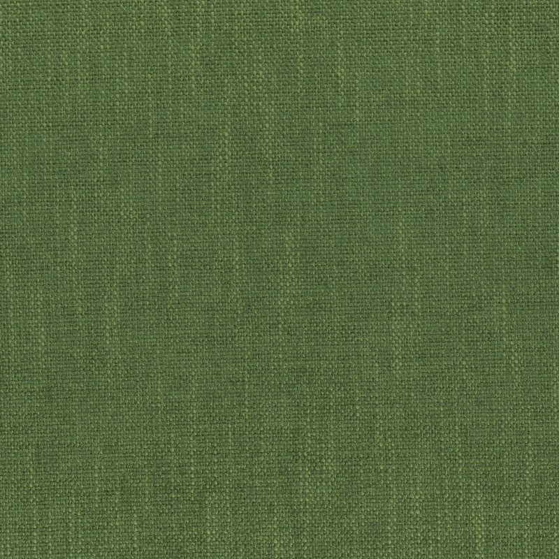 C Contract 2005 Robusta Fern