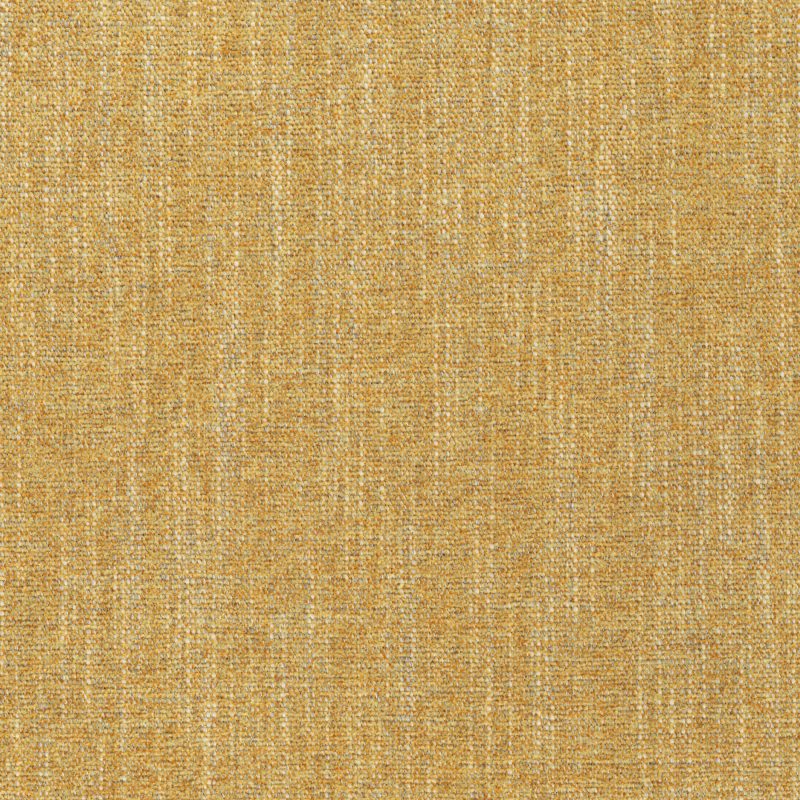 C Home 2009 Sadie Chamois