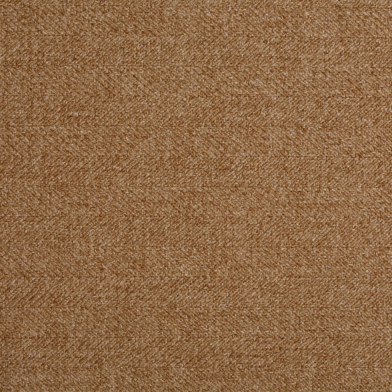 Heather Camel