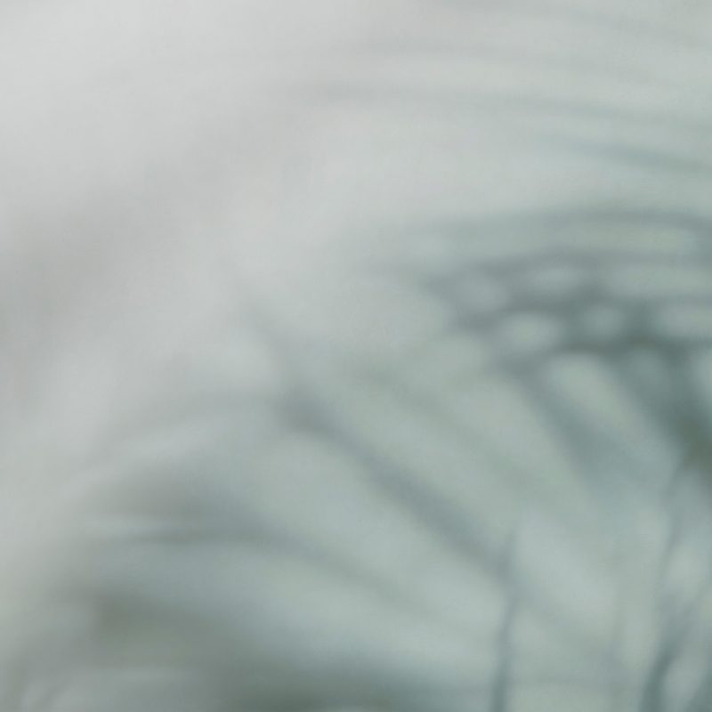 https www.tecnografica.net wp content uploads 2024 11 86136 2 B ALGA DARK GREEN web