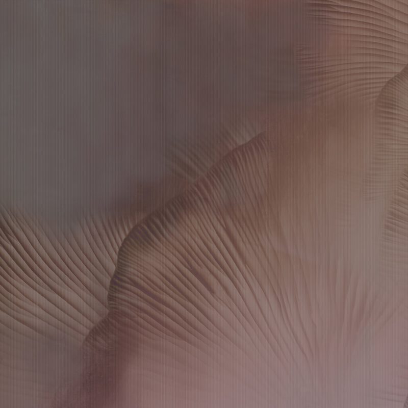 https www.tecnografica.net wp content uploads 2025 03 86111 5A SIREN SONG CORAL web 1