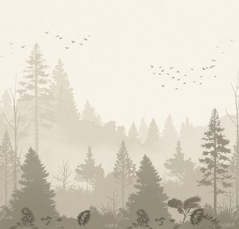 Misty Woodland