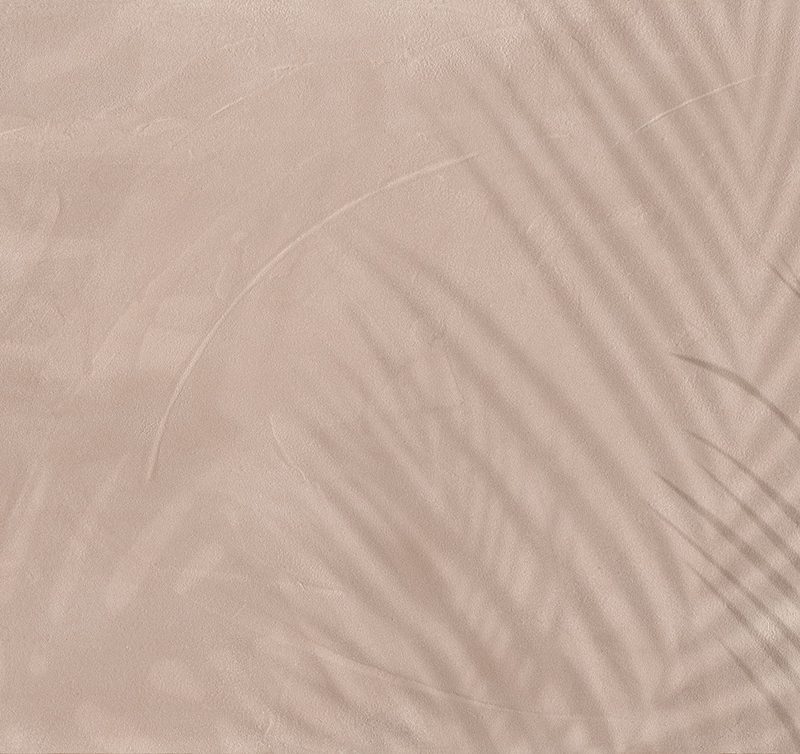 82647 3amanilacipria pink aweb 2393