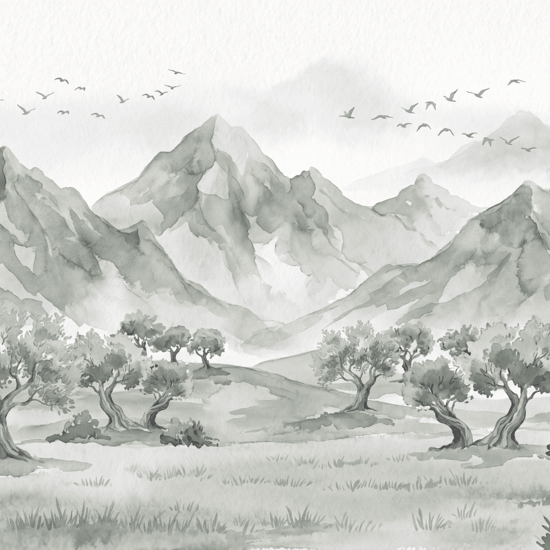 Olive Grove Ascent