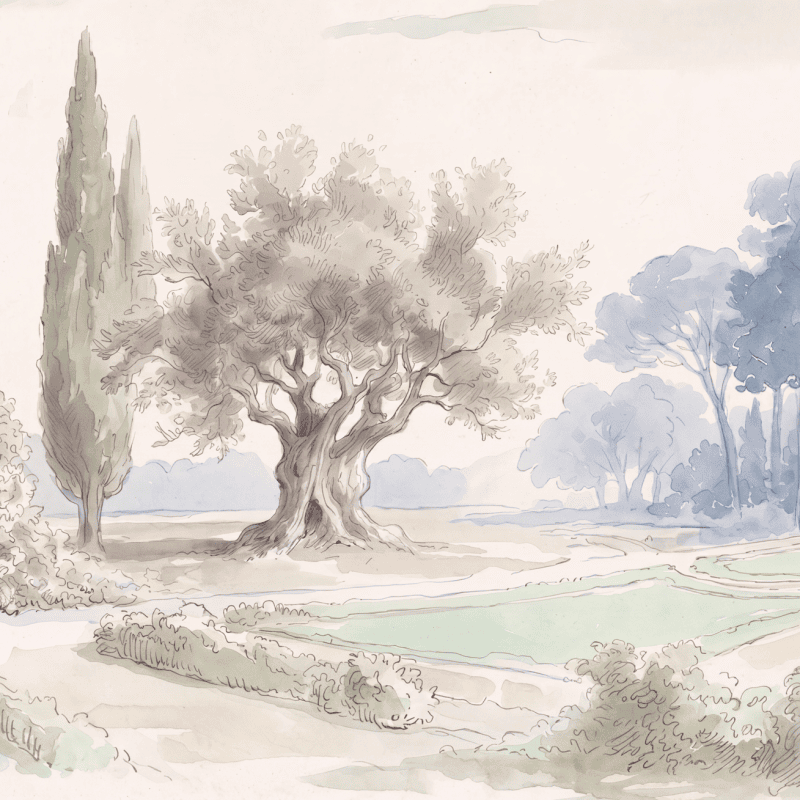 Belvedere Parterre Vista
