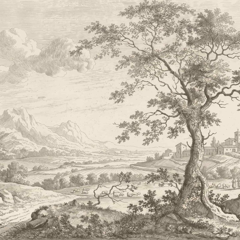 Tierra Alba (1)