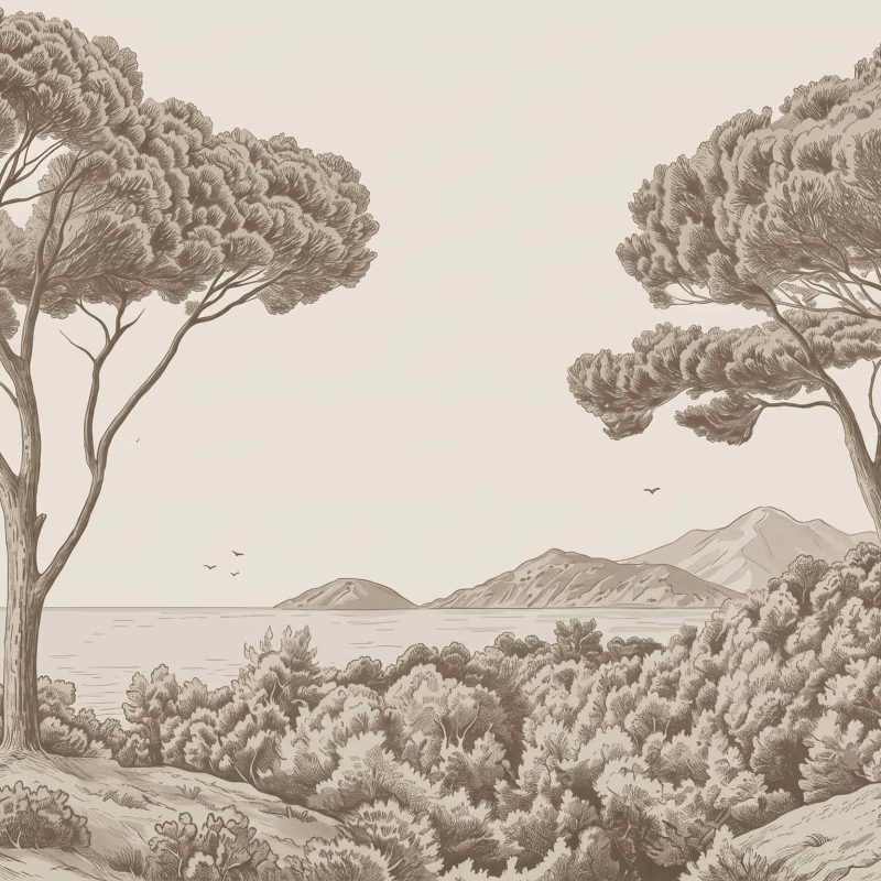 Archival Pines